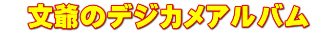   ̃fWJAo 